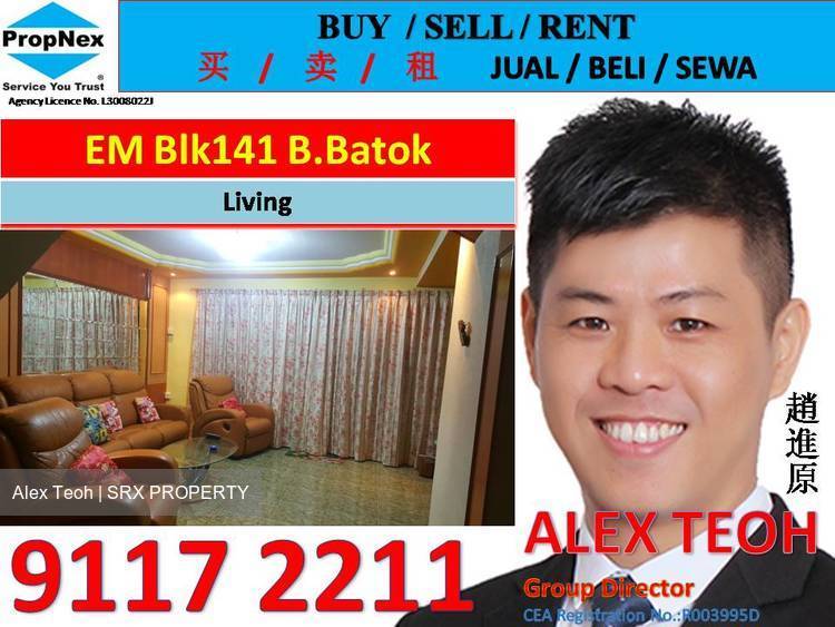 Blk 141 Bukit Batok Street 11 (Bukit Batok), HDB Executive #167395612